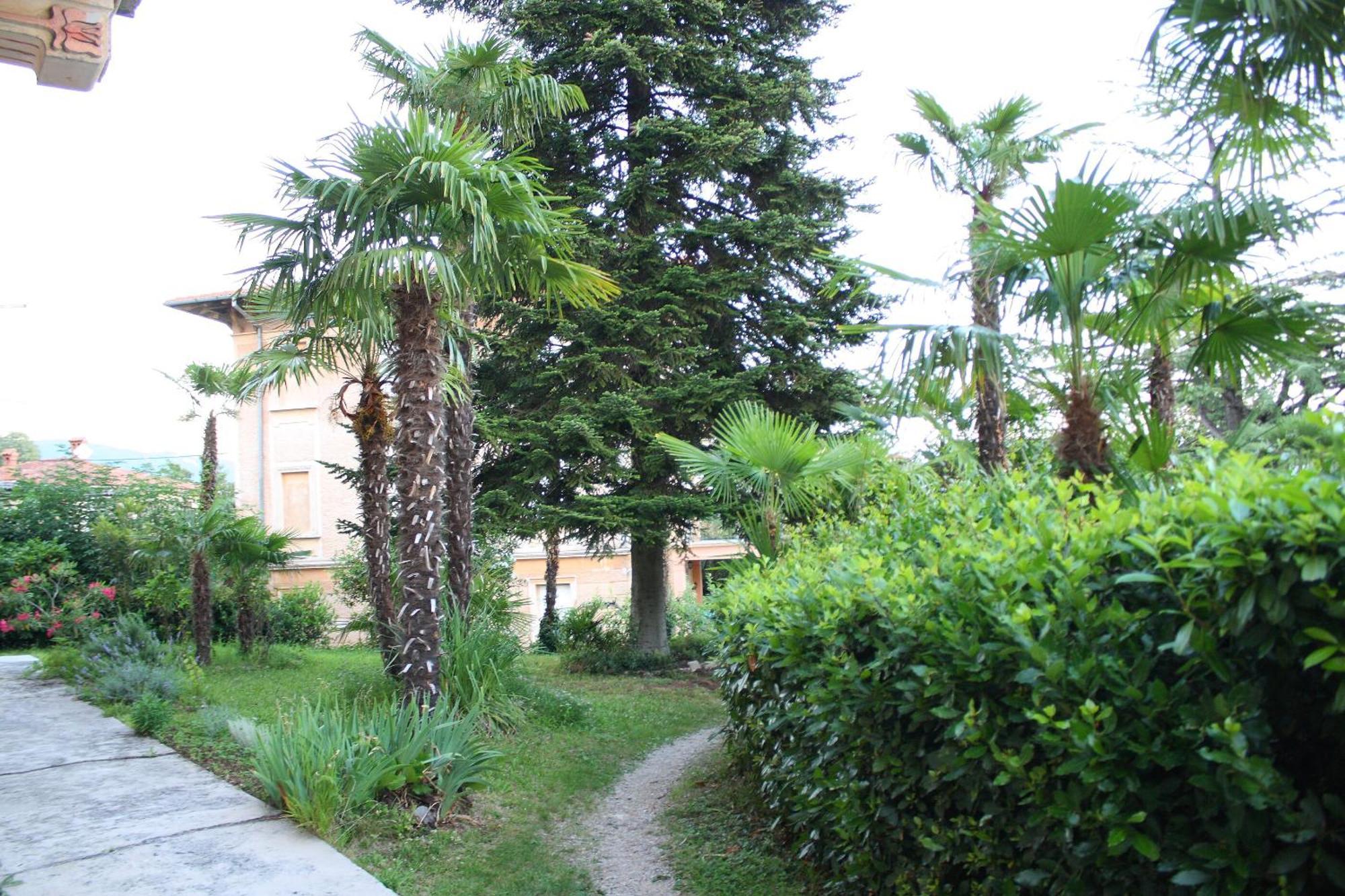 Apartments Rezine Lovran Kültér fotó
